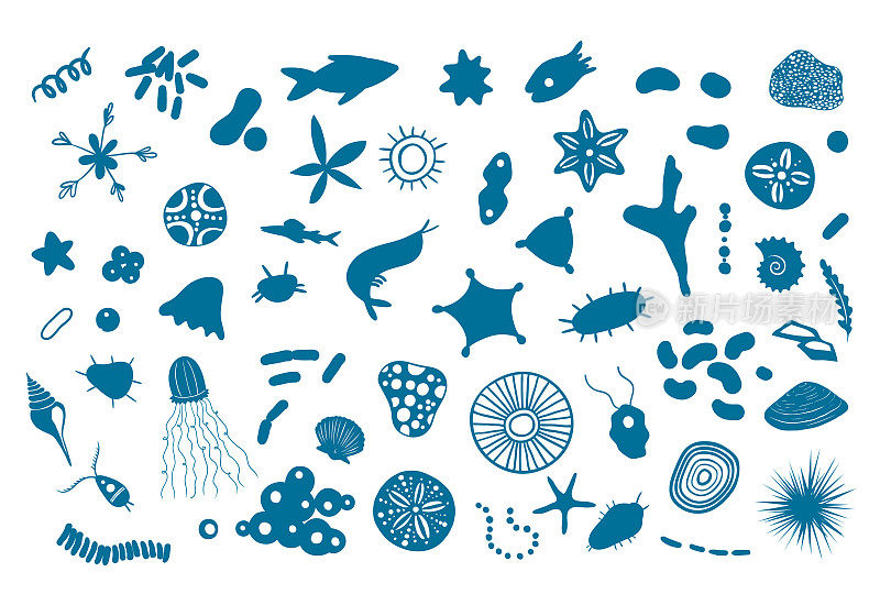 矢量插图与微观海洋生物。显微镜下的海洋磷虾。小鱼，珊瑚，贝壳，微生物隔离在白色。海洋浮游生物，详细矢量EPS 10插图。